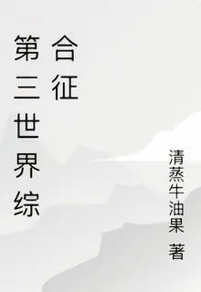 第三世界綜合徵 封面