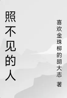 照不見的人 封面