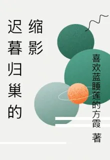 遲暮歸巢的縮影 封面