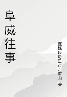 阜威往事 封面