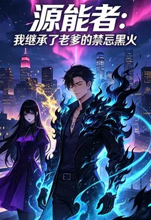 源能者：我繼承了老爹的禁忌黑火 封面