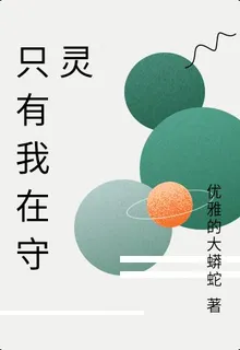 只有我在守靈 封面