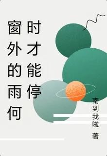 窗外的雨何時才能停 封面