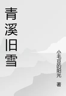 青溪舊雪 封面