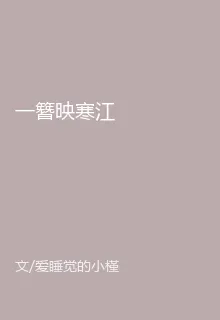 一簪映寒江 封面