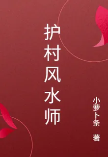 護村風水師 封面