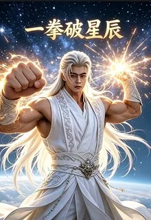 一拳破星辰 封面