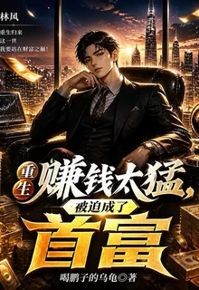重生賺錢太猛，被迫成了首富 封面