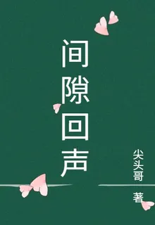 間隙回聲 封面