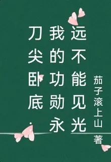 刀尖臥底：我的功勳永遠不能見光 封面