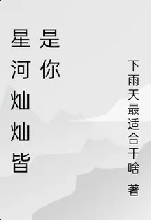 星河燦燦皆是你 封面
