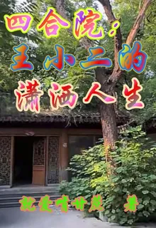 四合院：王小二的瀟灑人生 封面