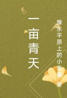 一畝青天 封面