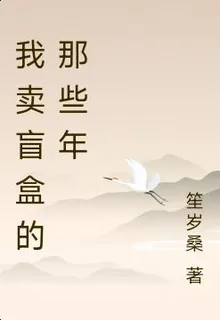我賣盲盒的那些年 封面