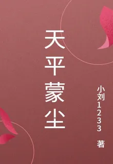 天平蒙塵 封面