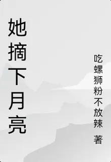 她摘下月亮 封面
