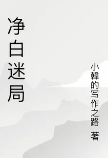 淨白迷局 封面