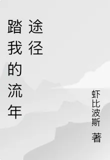 踏我的流年途徑 封面