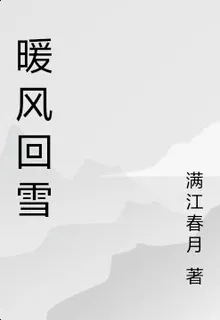 暖風迴雪 封面