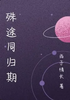 殊途同歸期 封面