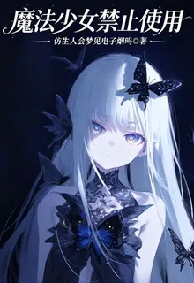 魔法少女禁止使用 封面
