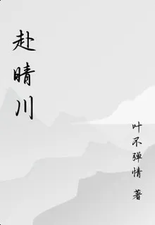 赴晴川 封面