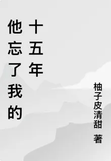 他忘了我的十五年 封面