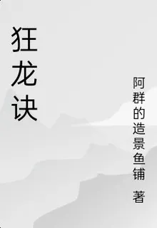 狂龍訣 封面
