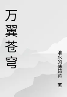 萬翼蒼穹 封面