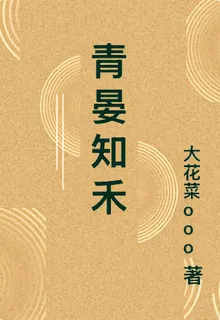 青晏知禾 封面
