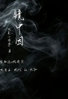 鏡中因 封面