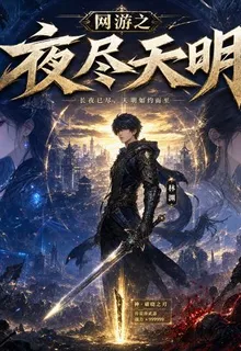 網遊之夜盡天明 封面