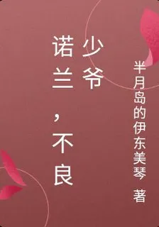 諾蘭，不良少爺 封面