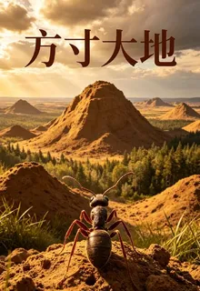 方寸大地 封面