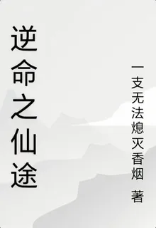 逆命之仙途 封面