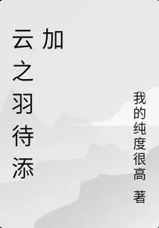雲之羽：夢雪 封面