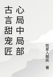 古言甜寵匠心局中局部 封面