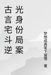 古言宅鬥逆光身份局案 封面