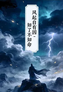 風起自有因，知了不知命 封面