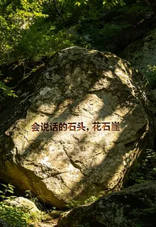 會說話的石頭，花石崖 封面