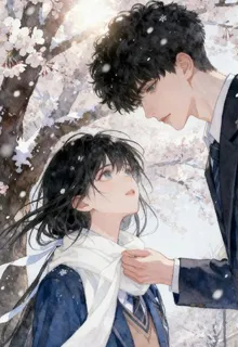 婚前婚後，從未停止想念初戀 封面