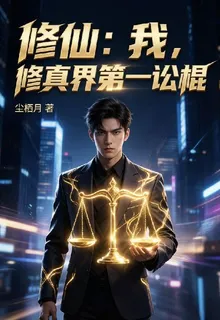 修仙：我，修真界第一訟棍 封面