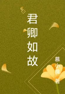 君卿如故 封面