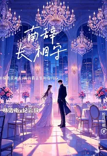 南辭長相守 封面