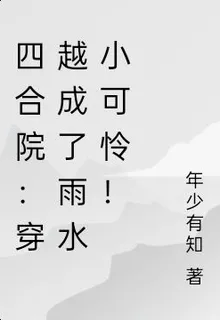 四合院：穿越成了雨水小可憐！ 封面