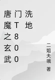 唐魔之玄武門T800洗地 封面