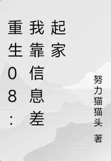 重生08：我靠信息差起家 封面