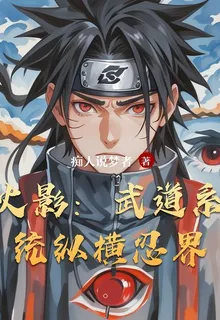 火影：武道系統縱橫忍界 封面