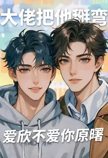 大佬們把他掰彎 封面