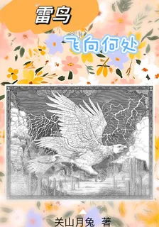 雷鳥飛向何處 封面
